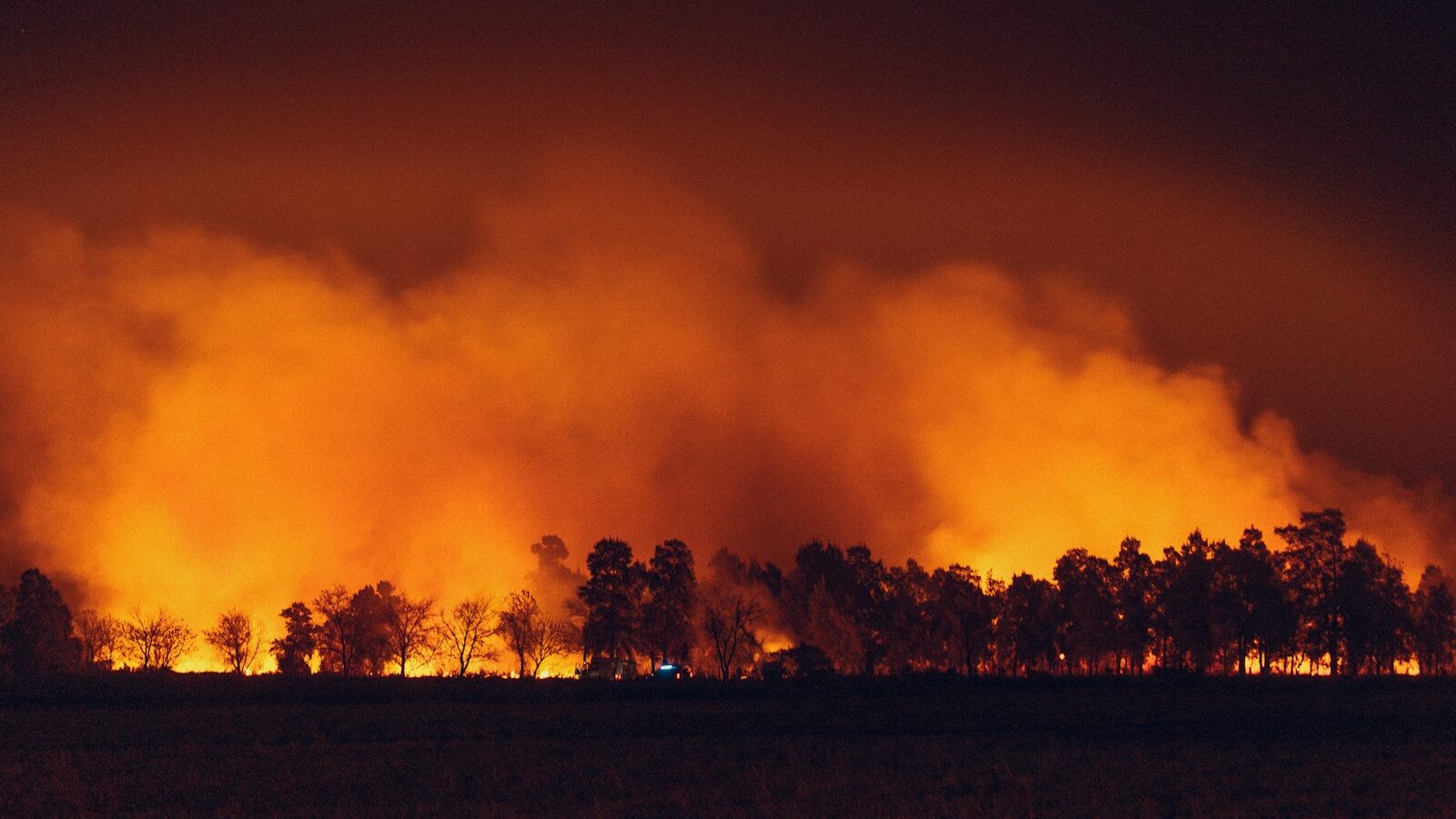 Messages of hope (and regenerative farming solutions) from wildfire ravaged Spain
