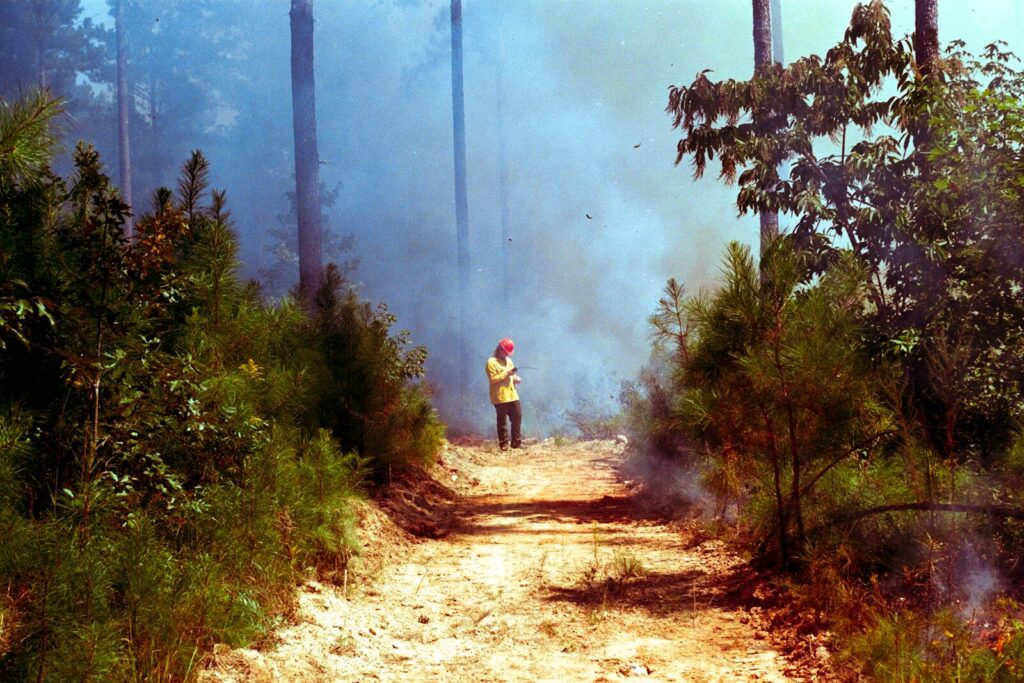 Wildfires pose transport crisis, multiple evacuation routes are essential