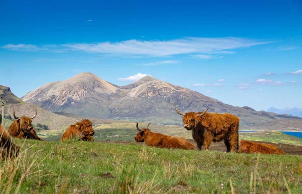 £25,000 grants available for nature restoration in Scottish Highlands