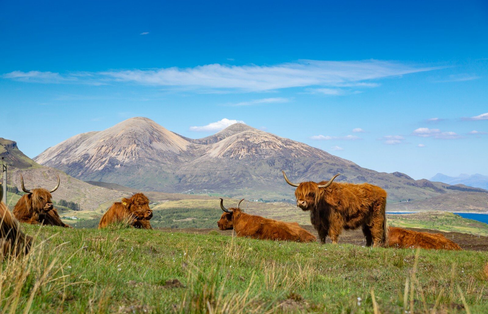 £25,000 grants available for nature restoration in Scottish Highlands