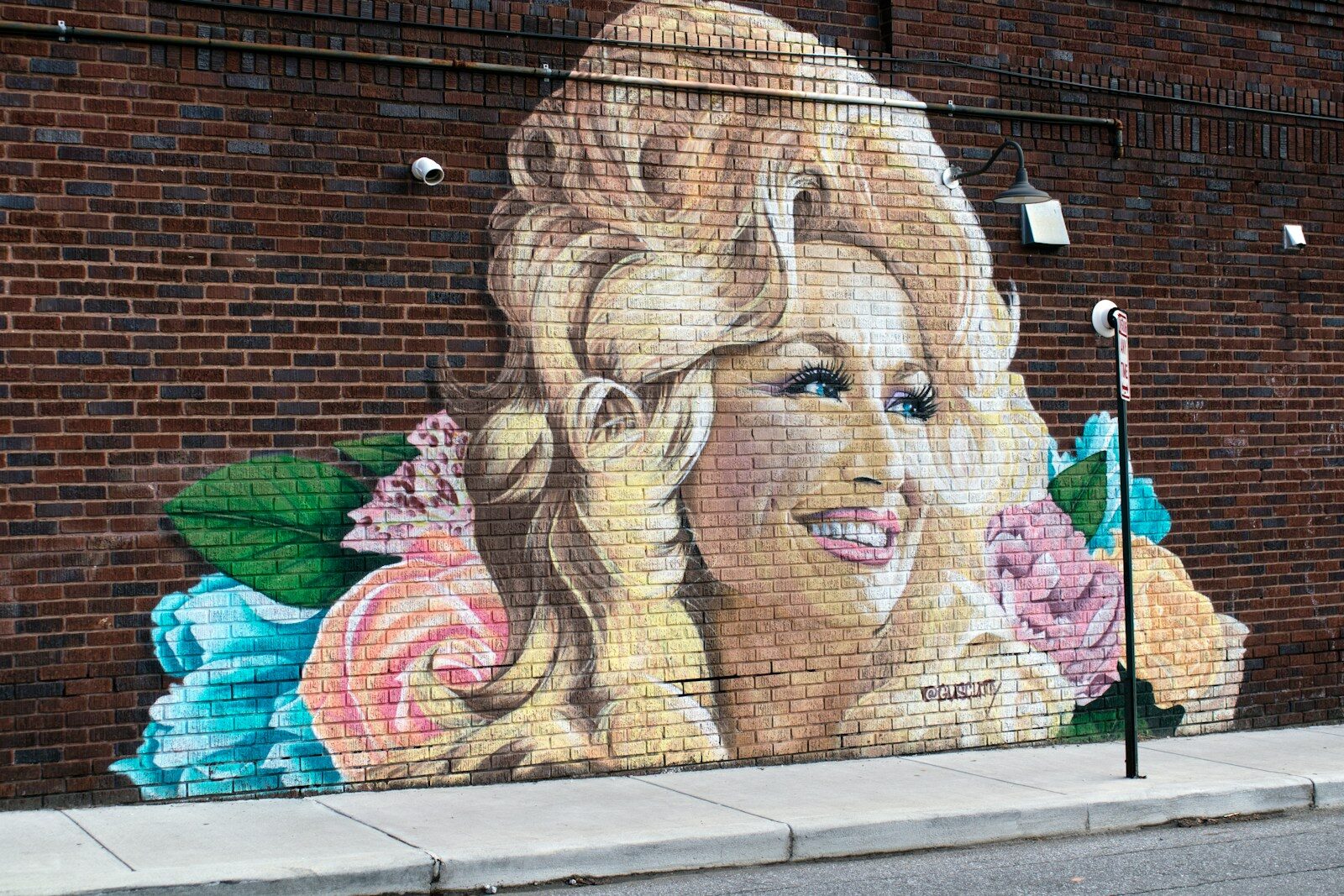 Lessons in climate activism from Dolly Parton, The Iron Butterfly