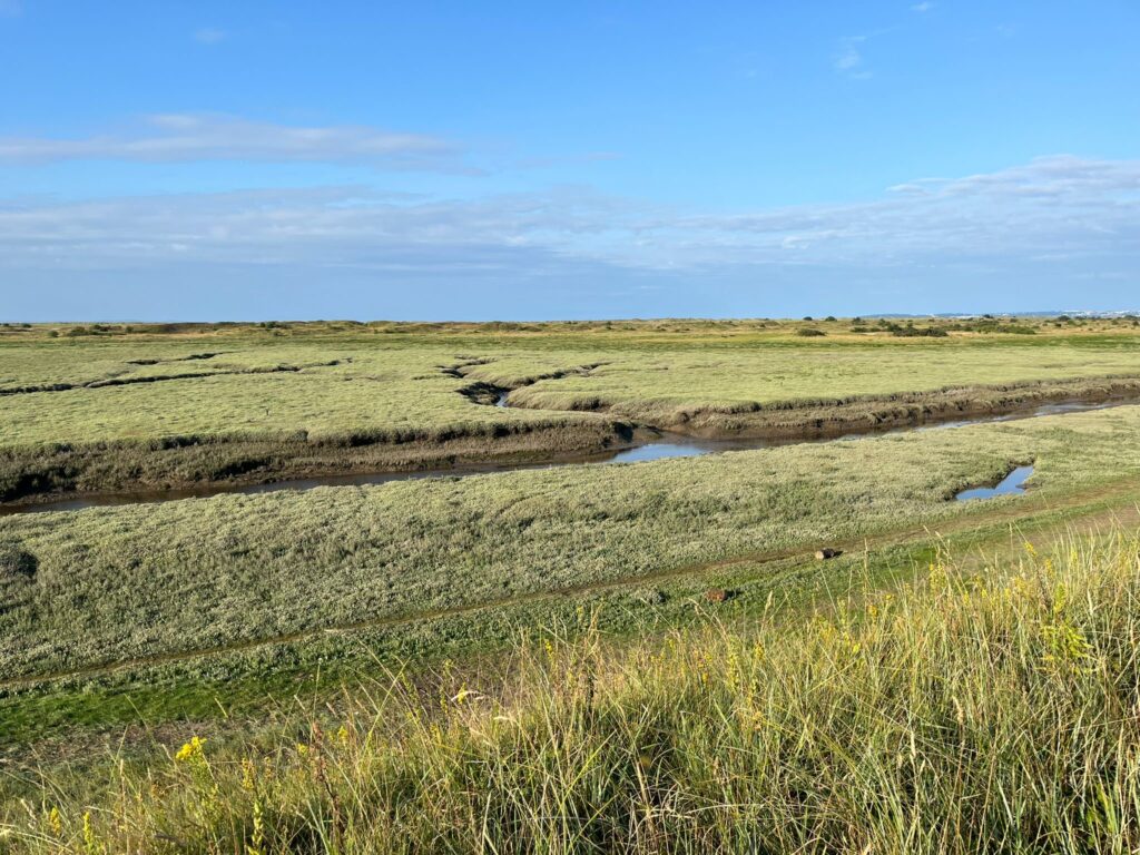Fabian Way lessons: drainage design in environmentally sensitive highway schemes